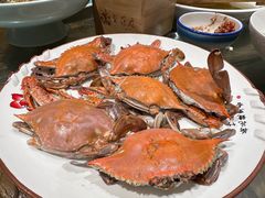 -木柴豆腐·活海鲜·鲁菜