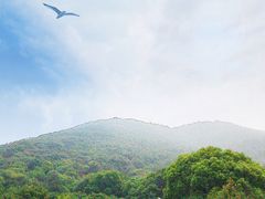 -宝岩生态观光园