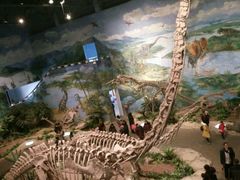 景点-自贡恐龙博物馆