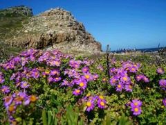 -天津东丽湖风景区