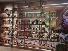 -二酉书店TOYOU BOOKS