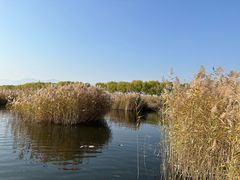 -野鸭湖国家湿地公园