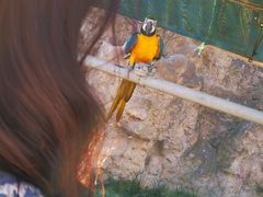 -西霞口神雕山野生动物世界