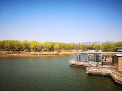 -大兴滨河森林公园