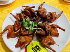 石岐乳鸽-红日饭店(裕隆三路店)