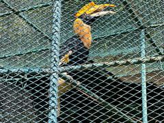 -哈尔滨北方森林动物园