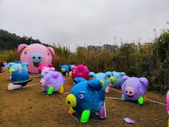 -飞凤山奥体公园