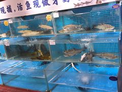 -胖姐渔村(中源大道店)