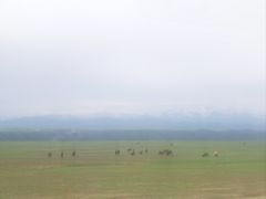 -中华福寿山