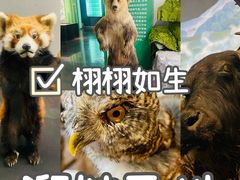 -昆明动物博物馆