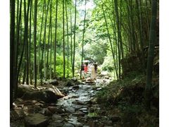 -莫干山风景区