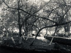 -水磨沟公园