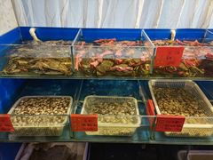 -华盛丰温州大排档(东三环南路店)