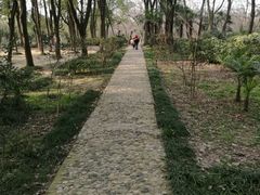 -蜀冈西峰生态公园