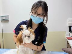 -美联众合动物医院·24h转诊中心