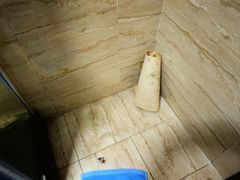 -喀纳斯鸿福生态度假酒店