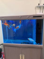 -海涛医疗美容·面部抗衰·注射美鼻