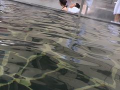 -清河半岛微风餐厅