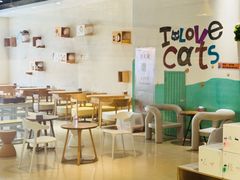 -藏猫猫咖啡主题馆(中央大道店)