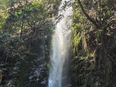 -莫里热带雨林景区