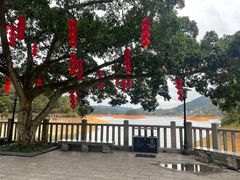 -广州市流溪河国家森林公园