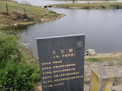 -大柳草原