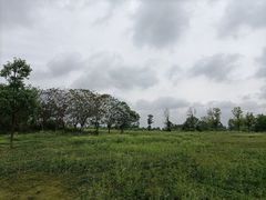 -两河城市森林公园