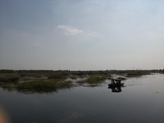 -焦岗湖旅游度假区