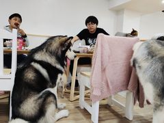 -李小姐の猫咖啡馆(五角场店)