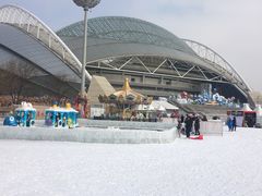 -沈阳奥体冰雪嘉年华