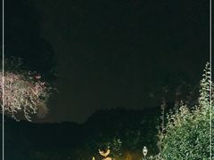 -金鸡山公园