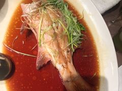 -協成海鮮火鍋(老店)
