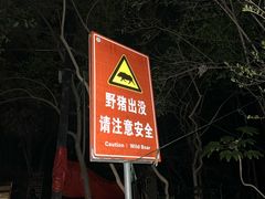 -紫金山山顶公园