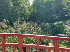 -大连植物园
