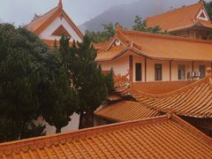 -深圳仙湖植物园