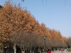 -西安交通大学(雁塔校区)