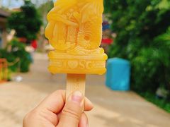 -新加坡水上探险乐园