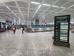 -米兰马尔彭萨国际机场