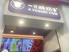 门面-一只酸奶牛(八一路店)