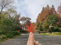 -茅山东方盐湖城景区