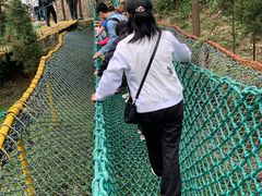 -原山国家森林公园