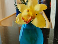 -深圳威尼斯英迪格酒店-邻芙花廊下午茶·NINFA GALLERY·蛋糕·咖啡