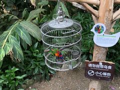 -南宫五洲植物乐园