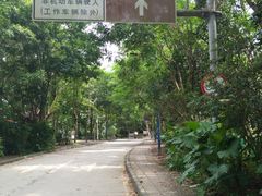 -火炉山森林公园