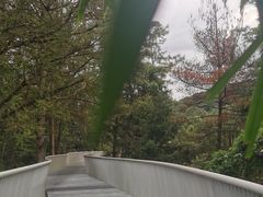 -昆明市金殿名胜区