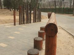 -回龙观体育文化公园