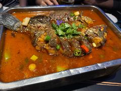 -沈胖子音乐烤吧·炒菜·龙虾(环城东路店)