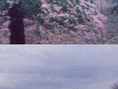 -十三陵水库
