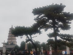 -大慈恩寺(大雁塔)
