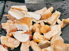 -蘑统田下·野生菌火锅